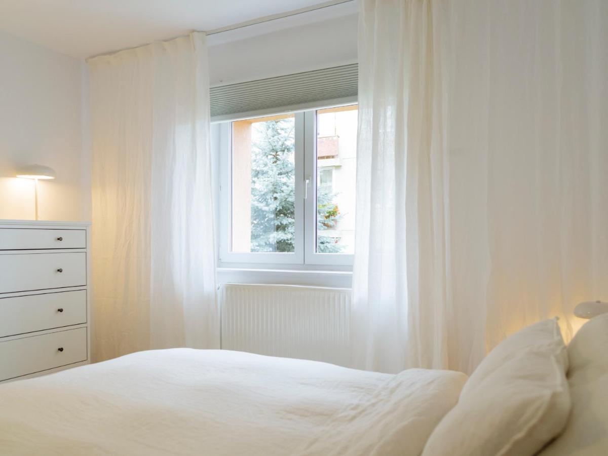 Cozy Central Apartment Near The Forest Brașov Exterior foto
