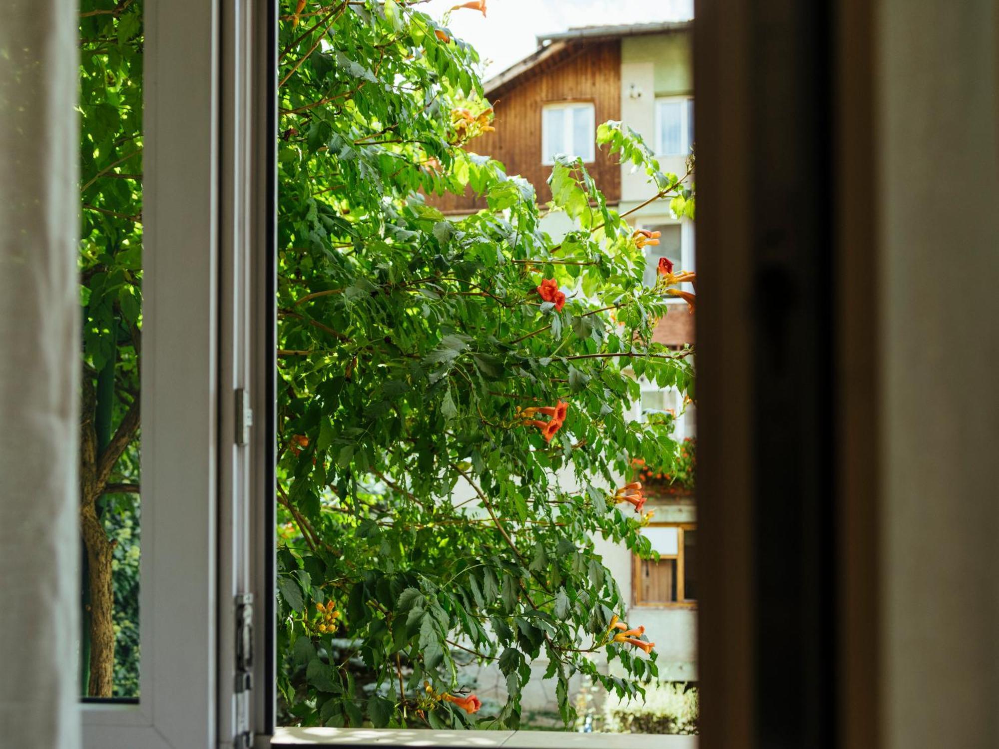 Cozy Central Apartment Near The Forest Brașov Exterior foto
