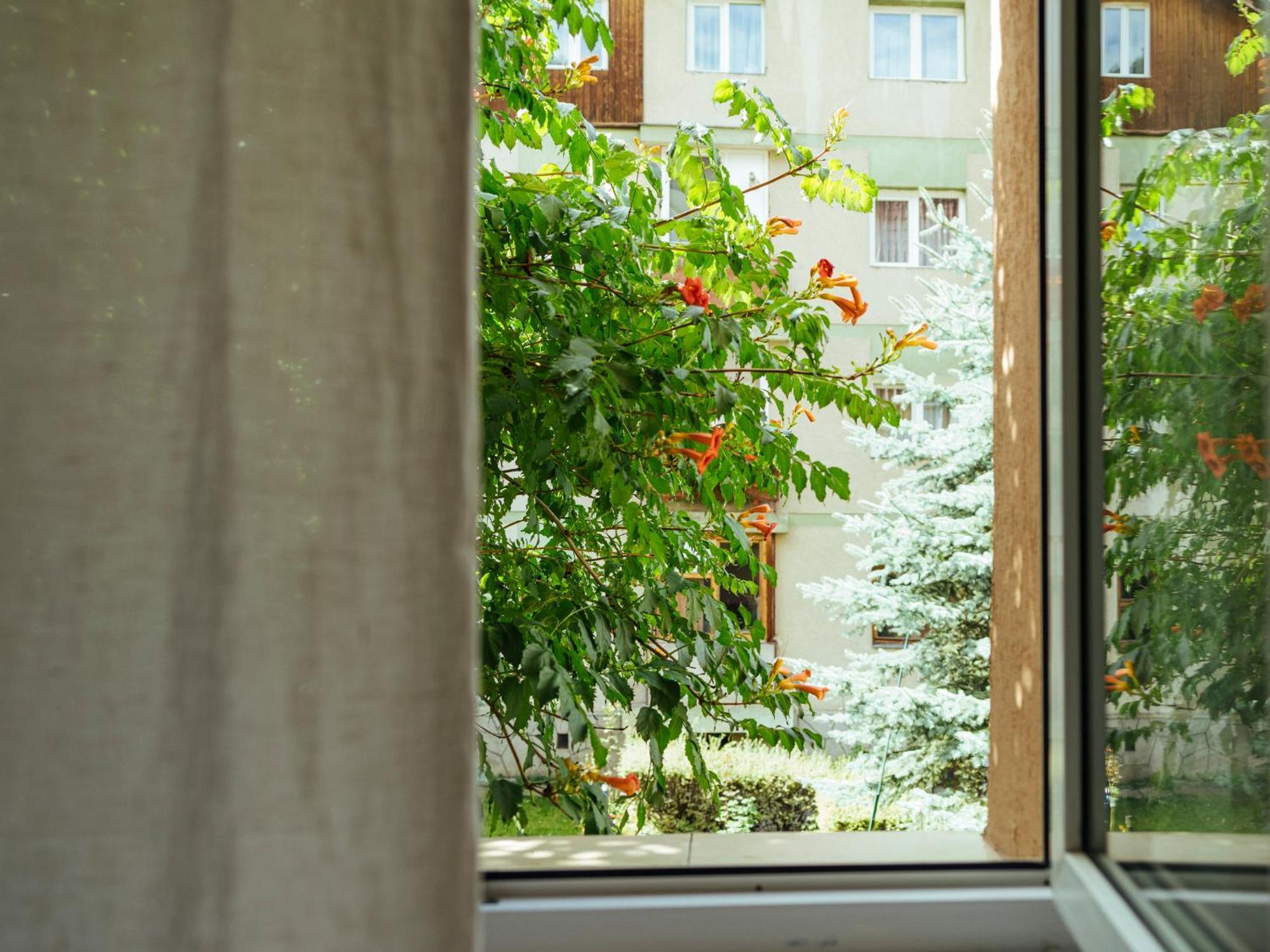 Cozy Central Apartment Near The Forest Brașov Exterior foto